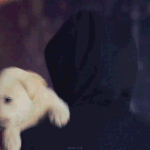 [EXO] 폴<b>작</b>폴작