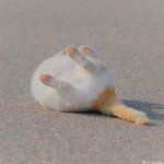 [댓글부탁해] 피부 좋아지는 방법이나 팁 알고있는 판녀들 공유 해주라...