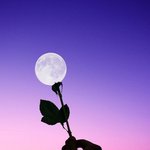 [드루와] <b>sns</b>아예 안하는사람 나밖에없나