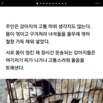 얘들아 한번만 <b>동의</b>해줘
