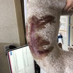 [꼭봐주세요] 우리아이가 애견카페에서 <b>학대</b>를당했습니다 도와주세요