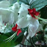 [꼭봐주세요] 4차 <b>산업</b>혁명 시대에 살아 갈 지혜를 기미독립선언문에서...