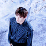[강다니엘] 꽃도 좀 패주<b>세오</b>❤