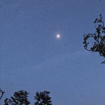 [드루와] 내가 찍은 사진들 <b>오때</b>