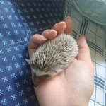 [드루와] 사진)나좀 살려죠ㅠㅠㅠㅠㅠㅠㅜ