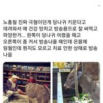 [드루와] 노홍철이 키우던 <b>당나귀</b> 근황