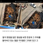 [들어와줘] 얘들아 한번만 <b>동의</b>해주라