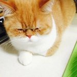 [드루와] <b>레진</b>코믹스 웹툰