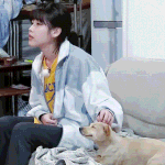 <b>덕</b>질이 이렇게 피곤한 거였나