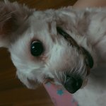 [댓글부탁해] 벌레ㅠㅁㅠ 나 좀 살려줘ㅜㅜㅜㅜㅜ