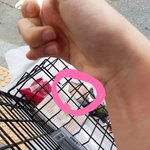 [19] 후기?+)다이소안마기사옴ㅎㅋㅎㅋㅎㅋ