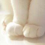 너희 제발 <b>불법</b>당당하게하고다니지좀마~