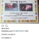 [드루와] 샤이니 <b>종현</b> 강아지 없어졌대