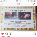 [드루와] 얘들아 <b>종현</b> 강아지 루 실종됏대ㅠㅠ
