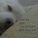 [드루와] 중3 <b>이</b>정도 <b>화장</b> 어떰??