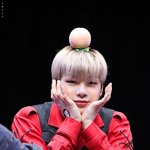 [강다니엘] ✅오늘 녤부리들이 해야할일✅