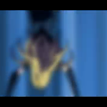 [EXO] 블퇘지 <b>운지</b>!!!
