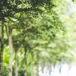 [강다니엘] 이불밖은위험해 <b>다낭</b>편 강다니엘 얼른 보고싶어