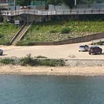 <b>종현이</b> 강아지 루 찾았어!!