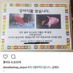 <b>종현</b> 강아지