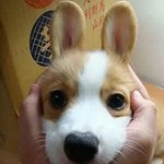 너네반 애들은 길거리 옷 <b>입어</b>?