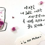 구속의 선물 안상홍님