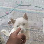 [댓글부탁해] <b>김건</b>아 손목왜이럼