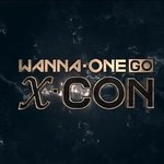 [워너원] 하..내가미쳤지