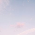 <b>청포</b>도파데 어때