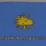 [드루와] 역대급으로 학교가기 싫은날이다