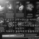 기적적인 <b>생존</b> 실화들