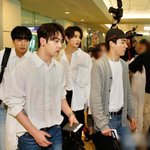 입국하다 말고 뜬금없이 카트 정리하는 남돌<b>GIF</b>