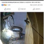 [명랑엽떡] 600만원 <b>체납</b> 후 도주한 세입자