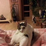 *새미 아는 사람 여기여기 붙어라* 사진많음*