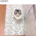 [댓글부탁해] L자 다리 할 때