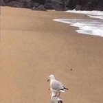 오늘 <b>수련</b>회간당