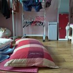 나의 동거묘 도칠이 초근접 밀착모습과 홈<b>CCTV</b>모습