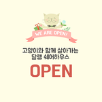 댕댕이, 고양이와 함께 살아갈 수 있는 곳