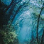 [EXO] 여기 팬들아 <b>SM</b>이 고소안하는 이유 가르쳐줄게