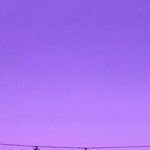 [댓글부탁해] 달콤한 꿀처럼 좋은거 말이야