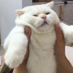 [드루와] 워너원 소속사 바뀜 ;; 뭐지 사진0