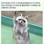 [댓글부탁해] 본진 팬싸 <b>응모</b>하고왓다