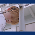 [드루와] 요즘 흰색(투명)<b>나방</b> 개많지않냐ㅋㅋㅋ