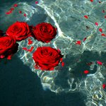 [드루와] 우리반에 내기준 개사기캐 있음