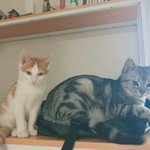 우리 못<b>본지</b> 진짜 오래됐다