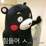 <b>초면</b>일 때 호감 가는 행동 말하고 가자!