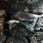 [도와주세요] 보조배터리 폭발로  강아지 두마리 사망