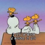 나만 <b>예전</b> 스쉐 그립냐..??
