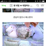 [추반] 지금 다이소인디 유니콘 제발 추반,,