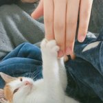 내가 니 남친이고